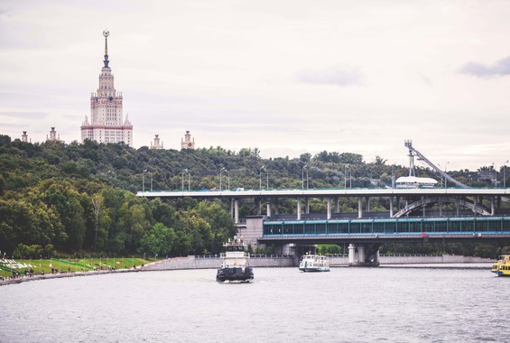 Luzhnetsky Metro Bridge